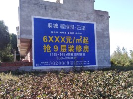 孝感品牌公司青睐的墙体广告