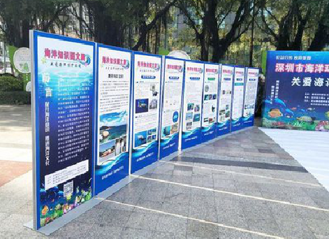 孝感KT板的种类和知识。